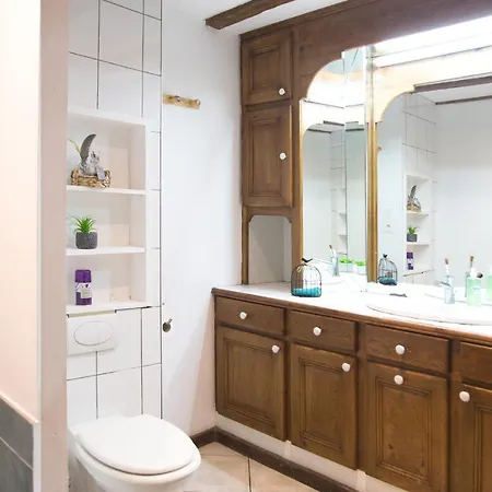 Appartement L'etoile Du Puy En Velay - Maison Spacieuse&cosy