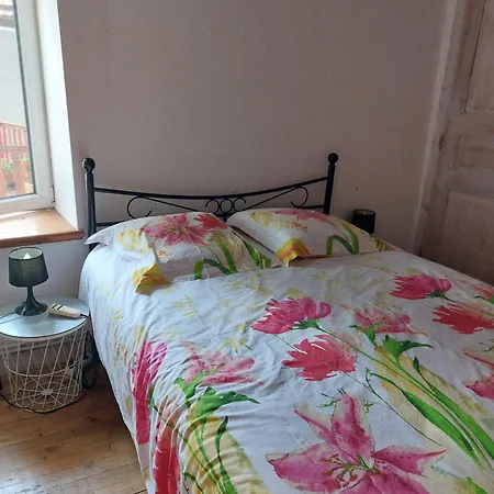 Appartement L'etoile Du Puy En Velay - Maison Spacieuse&cosy *